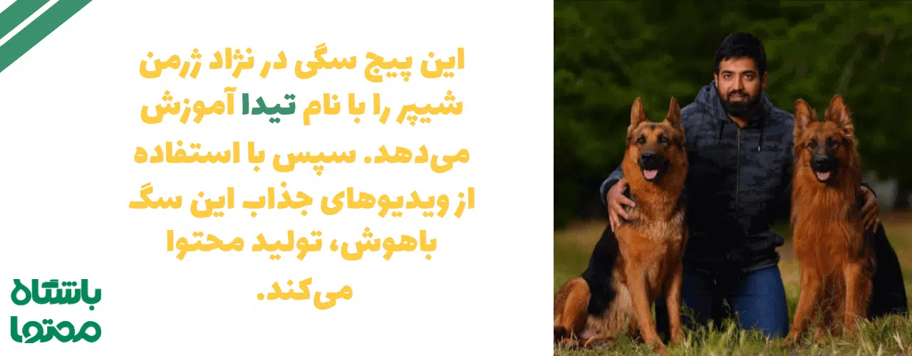 افزایش کامنت اینستاگرام